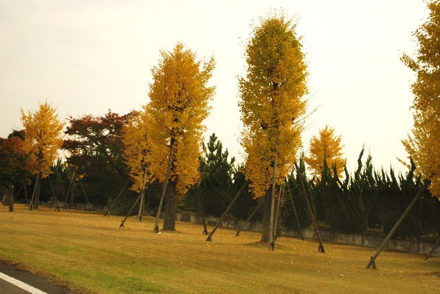 AKINOMICHI.jpg