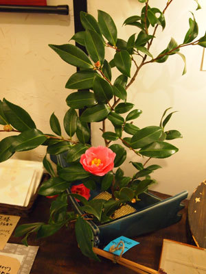 20110202_2037891.jpg
