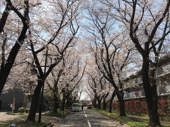 AE1AEF33-1F70-41FE-ADD2-B09AD58195FA.jpeg