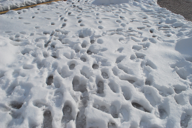 DSC_0002.jpg