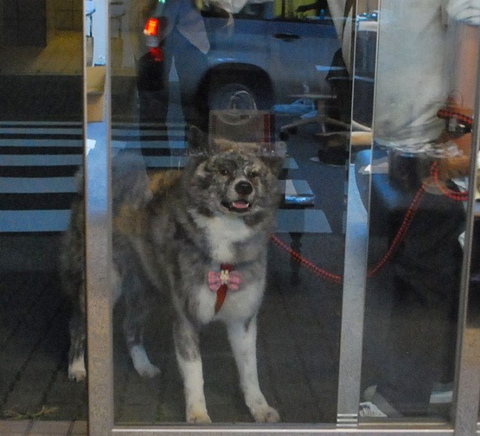 DSC_0011 - コピー.jpg