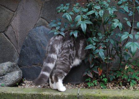 DSC_0073.JPG