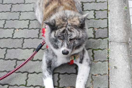DSC_0096.jpg