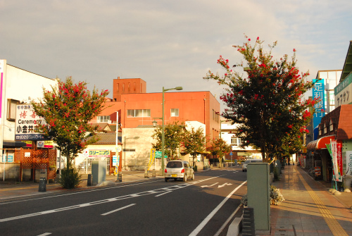 DSC_0125.jpg