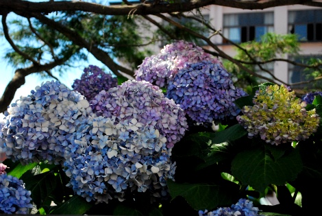 DSC_0136.jpg