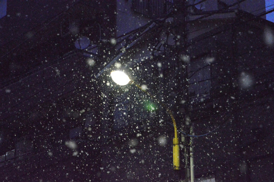 DSC_0172.jpg