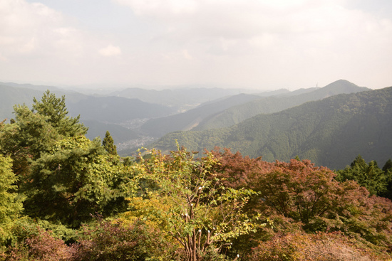 DSC_0228.jpg