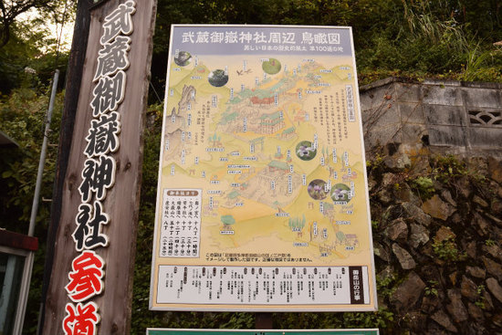 DSC_0231.jpg