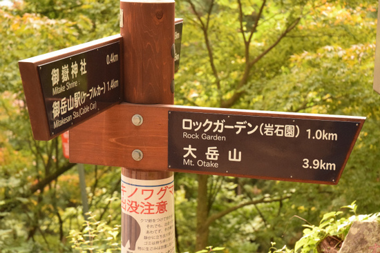 DSC_0252.jpg
