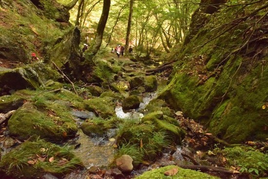 DSC_0293.jpg