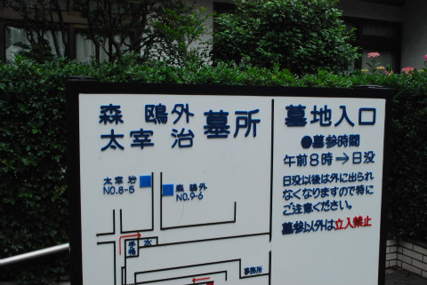 DSC_0306.jpg