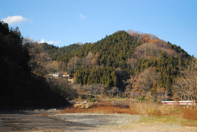 DSC_0312.jpg