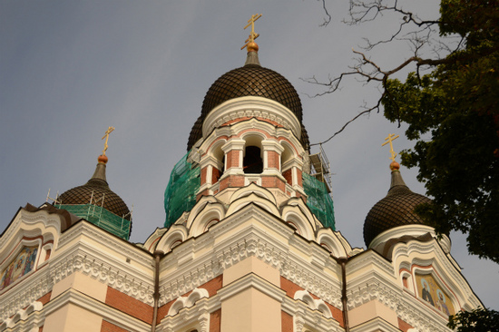 DSC_0317.jpg