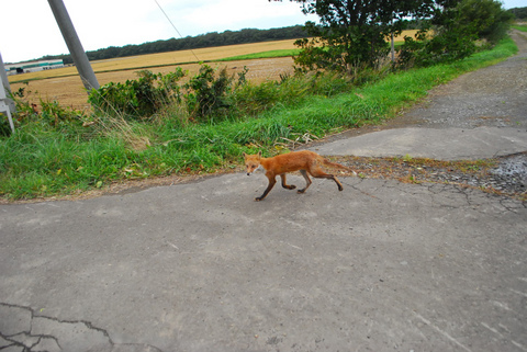 DSC_0404.jpg