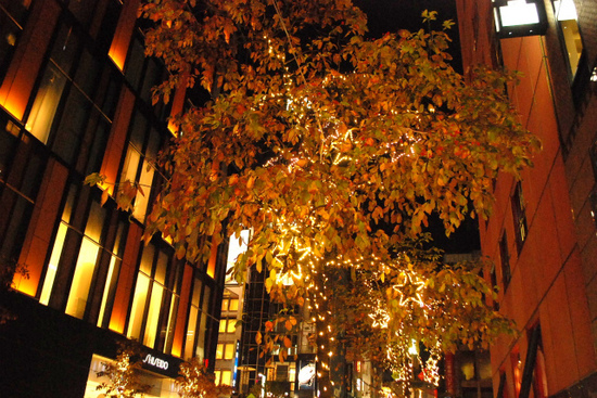 DSC_0488.jpg