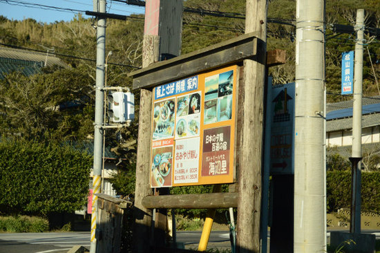 DSC_0491.jpg