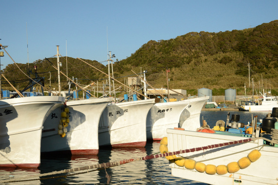 DSC_0493.jpg