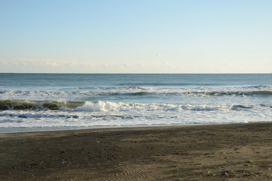 DSC_0496.jpg