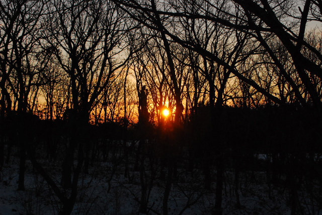 DSC_0500.jpg