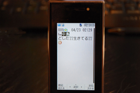 DSC_0787.jpg