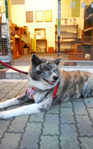 DSC_0863.jpg