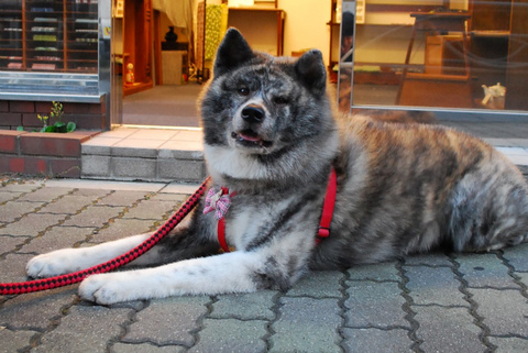 DSC_0872 - コピー.jpg