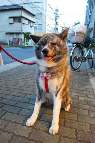 DSC_0880.jpg