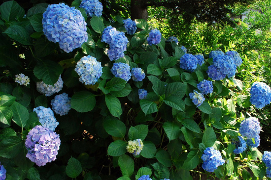 DSC_0881.jpg