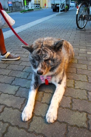 DSC_0881.jpg