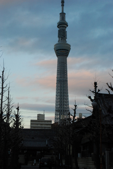 DSC_1104.jpg