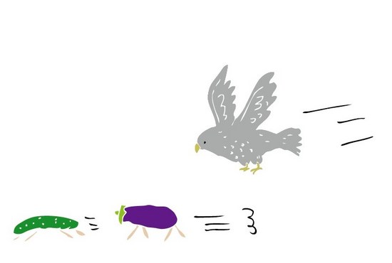 ナスキュウリ.jpg