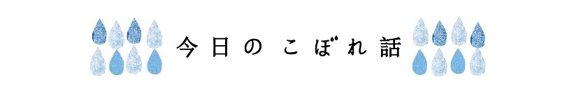 今日のこぼれ話.jpg