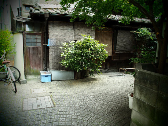 P1010049.jpg