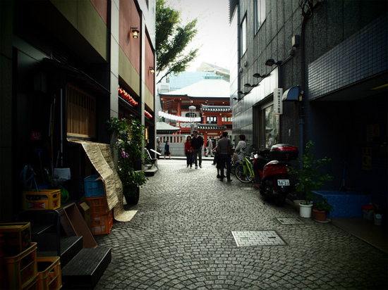P1010050.jpg