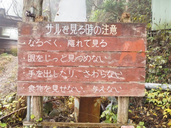 P1010238.jpg