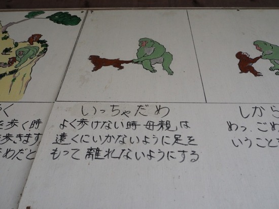 P1010265.jpg