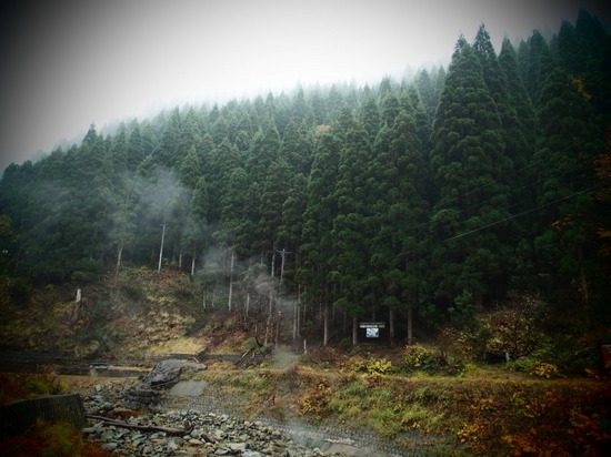 P1010313.jpg