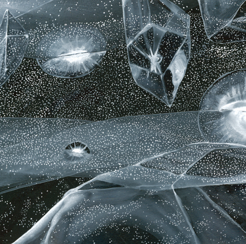 SDCD016_web.jpg