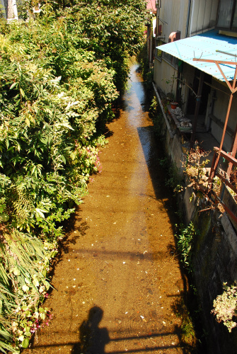 ogawa-kanuma.jpg