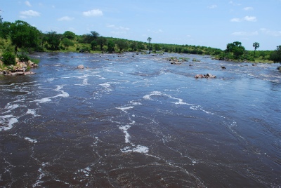 r11.jpg