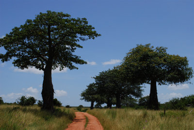 r15.jpg