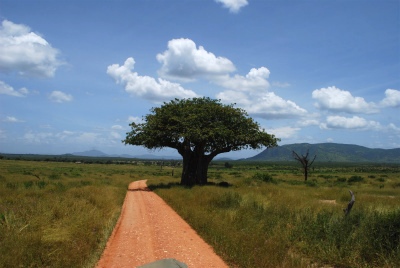 r17.jpg