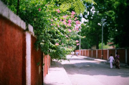 s58010020.jpg
