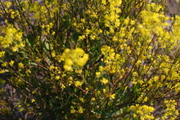 sDSC_0037.jpg