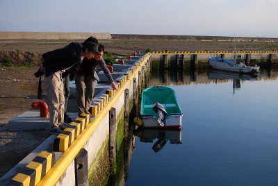 sDSC_0038.jpg