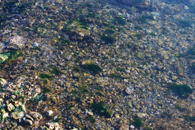 sDSC_0050.jpg