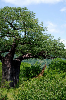 sDSC_0059.jpg