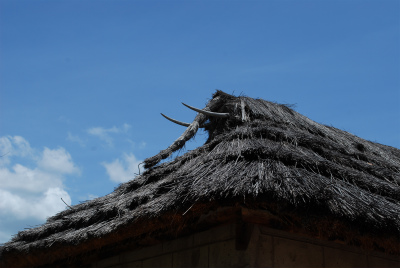 sDSC_0164.jpg