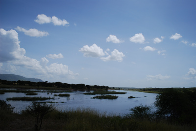 sDSC_0187.jpg