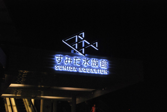 sDSC_0218.jpg